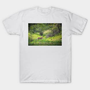 Little Deer in Forest with Springtime Wildflowers T-Shirt